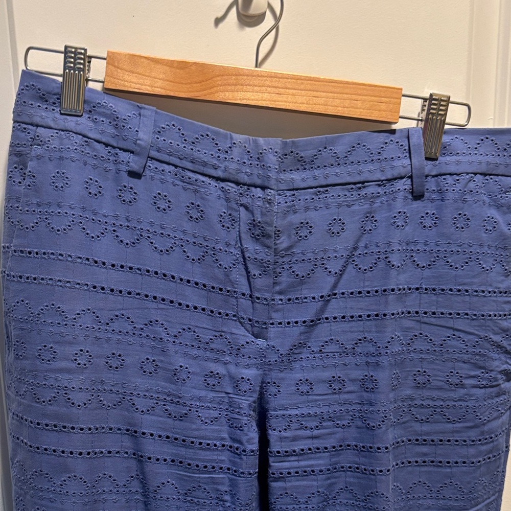 Ann Taylor Blue Cropped Pants